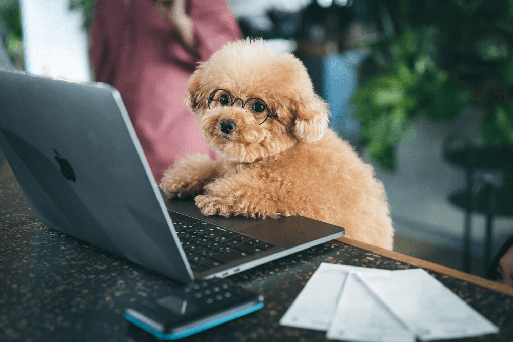 likelycoin-contact-us